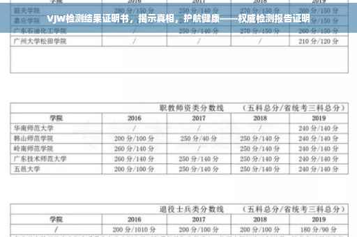 VJW检测结果证明书，揭示真相，护航健康——权威检测报告证明