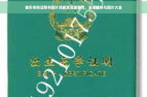 音乐专利证明书图片详解及其重要性，全面解析与图片大全