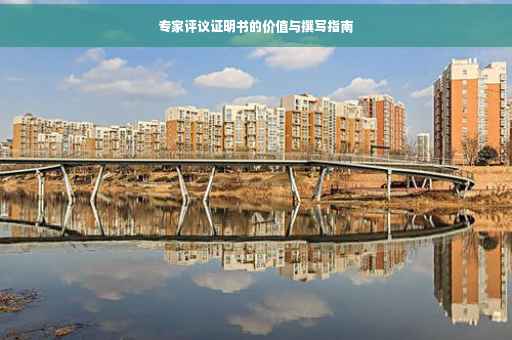专家评议证明书的价值与撰写指南