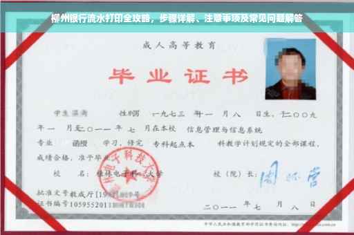 柳州银行流水打印全攻略，步骤详解、注意事项及常见问题解答