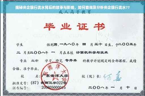 揭秘央企银行流水背后的故事与影响，如何查询及分析央企银行流水??
