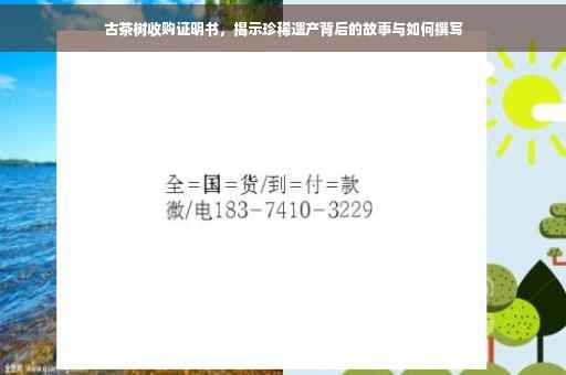 古茶树收购证明书，揭示珍稀遗产背后的故事与如何撰写