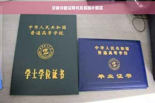 牙病诊断证明书及其图片概览