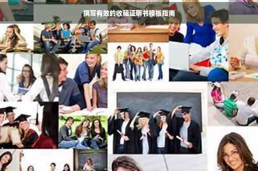 撰写有效的收租证明书模板指南