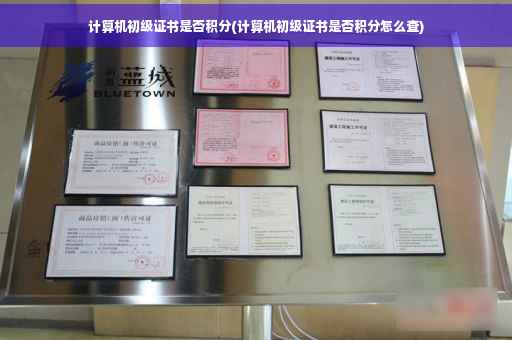 计算机初级证书是否积分(计算机初级证书是否积分怎么查)