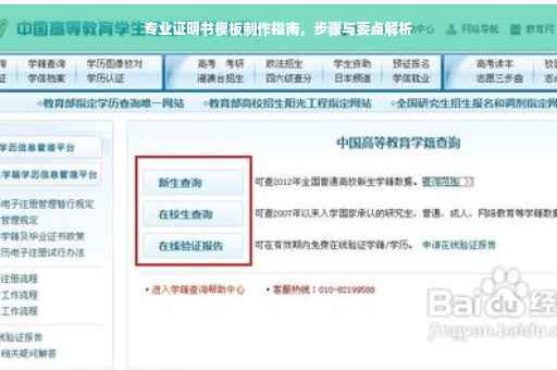 专业证明书模板制作指南，步骤与要点解析