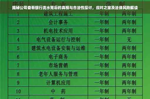 揭秘公司查看银行流水背后的真相与合法性探讨，应对之策及法律风险解读