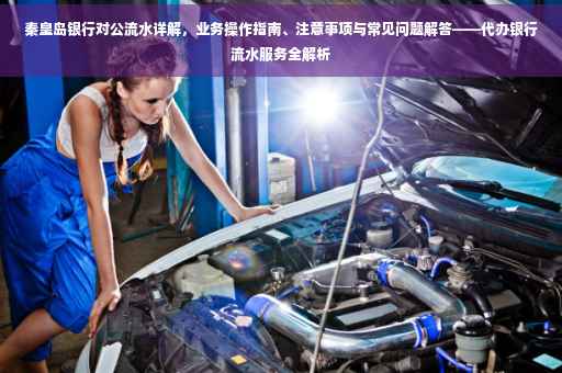 秦皇岛银行对公流水详解，业务操作指南、注意事项与常见问题解答——代办银行流水服务全解析