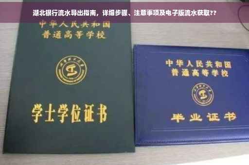 湖北银行流水导出指南，详细步骤、注意事项及电子版流水获取??