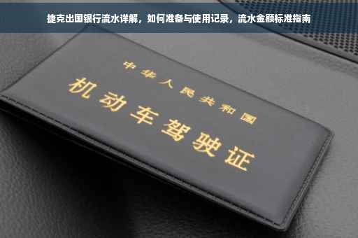 捷克出国银行流水详解，如何准备与使用记录，流水金额标准指南
