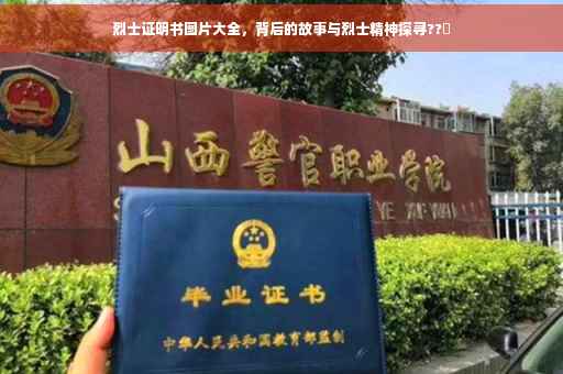 烈士证明书图片大全，背后的故事与烈士精神探寻??️