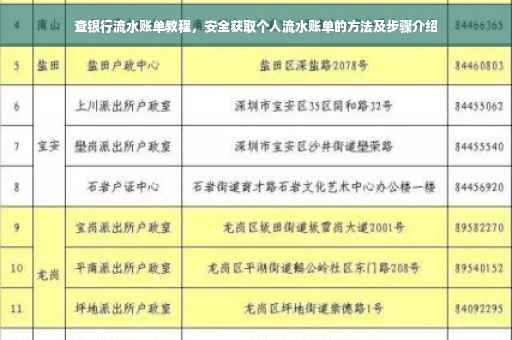 查银行流水账单教程，安全获取个人流水账单的方法及步骤介绍