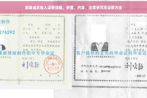 家庭成员收入证明详解，步骤、内容、注意事项及证明方法