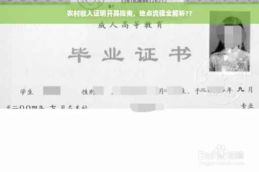 农村收入证明开具指南，地点流程全解析??