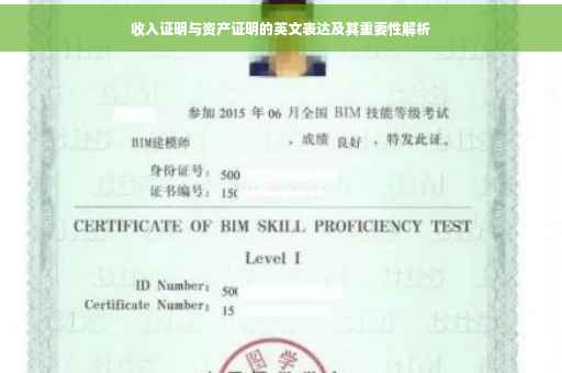 收入证明与资产证明的英文表达及其重要性解析