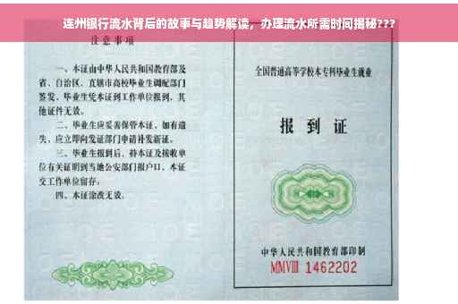 连州银行流水背后的故事与趋势解读，办理流水所需时间揭秘???