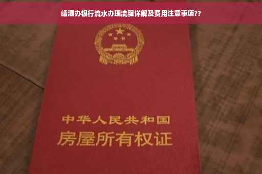 嵊泗办银行流水办理流程详解及费用注意事项??