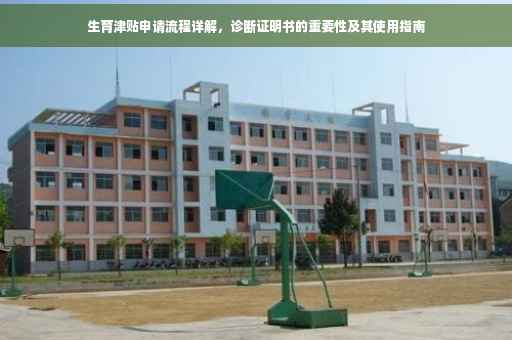 生育津贴申请流程详解，诊断证明书的重要性及其使用指南