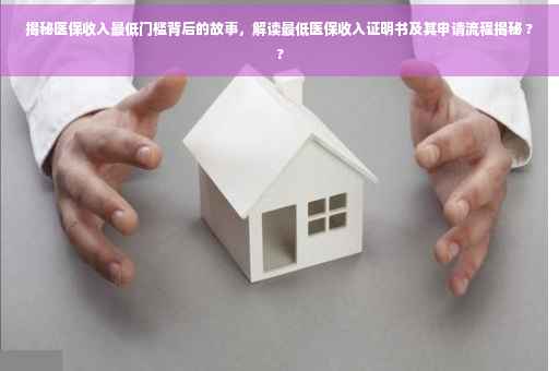 揭秘医保收入最低门槛背后的故事，解读最低医保收入证明书及其申请流程揭秘 ??