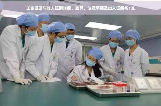 工资证明与收入证明详解，差异、注意事项及出入证解析?⚡️