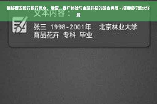 揭秘西安招行银行流水，运营、客户体验与金融科技的融合典范 - 招商银行流水详解