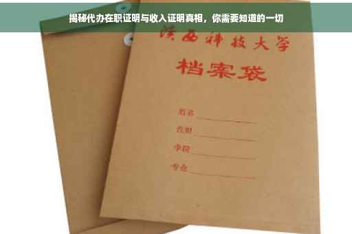 揭秘代办在职证明与收入证明真相，你需要知道的一切