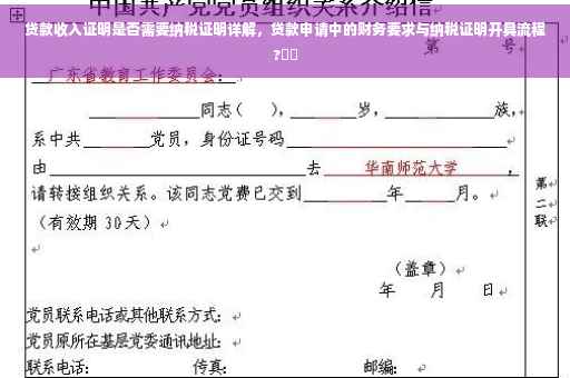 贷款收入证明是否需要纳税证明详解，贷款申请中的财务要求与纳税证明开具流程?⚡️