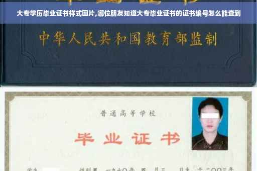 大专学历毕业证书样式图片,哪位朋友知道大专毕业证书的证书编号怎么能查到