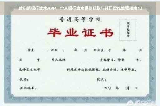 哈尔滨银行流水APP，个人银行流水便捷获取与打印操作流程指南?✨