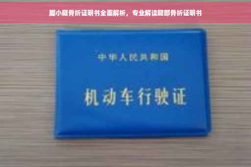脚小腿骨折证明书全面解析，专业解读腿部骨折证明书