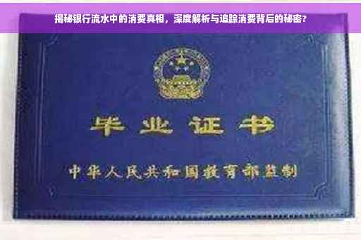 揭秘银行流水中的消费真相，深度解析与追踪消费背后的秘密?