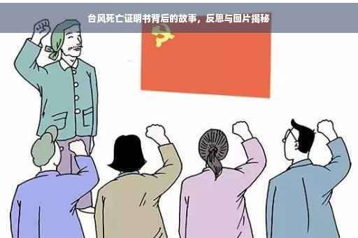 台风死亡证明书背后的故事，反思与图片揭秘