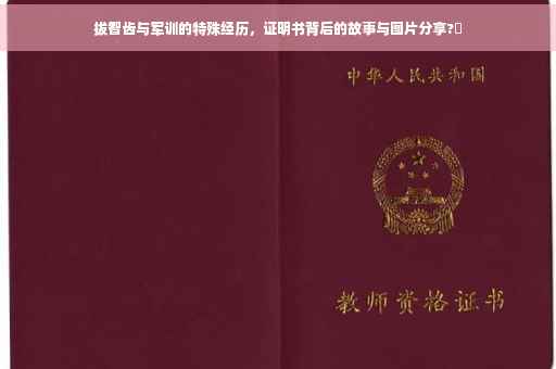 拔智齿与军训的特殊经历，证明书背后的故事与图片分享?✨