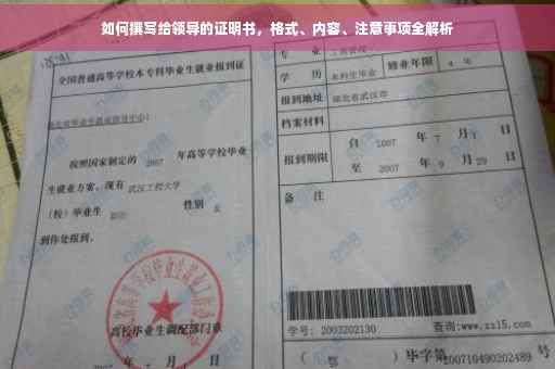 如何撰写给领导的证明书，格式、内容、注意事项全解析
