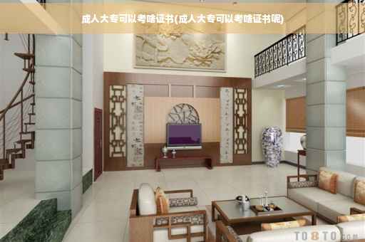 成人大专可以考啥证书(成人大专可以考啥证书呢)