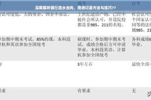 深度解析银行流水去向，用途记录方法与技巧??