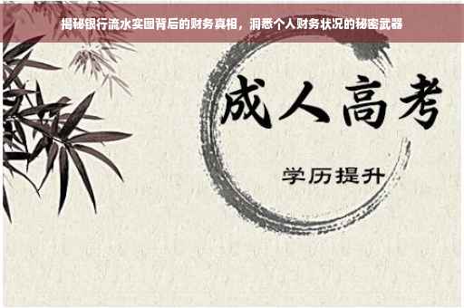 揭秘银行流水实图背后的财务真相，洞悉个人财务状况的秘密武器