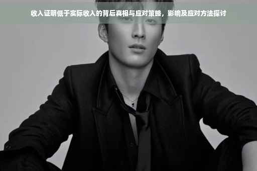收入证明低于实际收入的背后真相与应对策略，影响及应对方法探讨