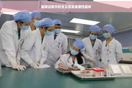 离婚证明书的含义及其重要性解析