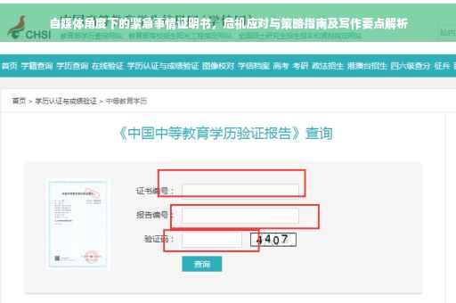 自媒体角度下的紧急事情证明书，危机应对与策略指南及写作要点解析