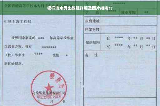银行流水导出教程详解及图片指南??