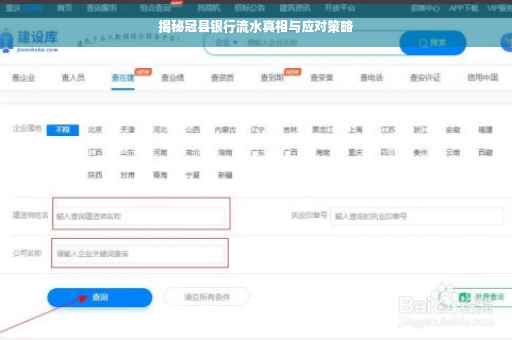 揭秘冠县银行流水真相与应对策略