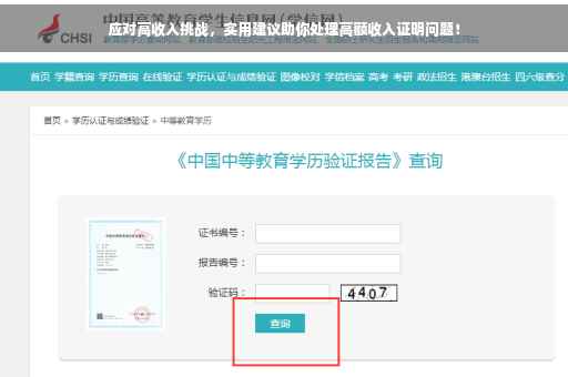 应对高收入挑战，实用建议助你处理高额收入证明问题！