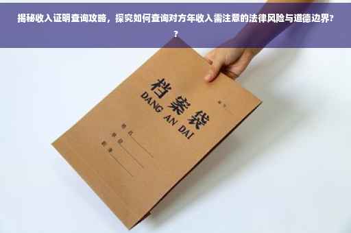 揭秘收入证明查询攻略，探究如何查询对方年收入需注意的法律风险与道德边界??