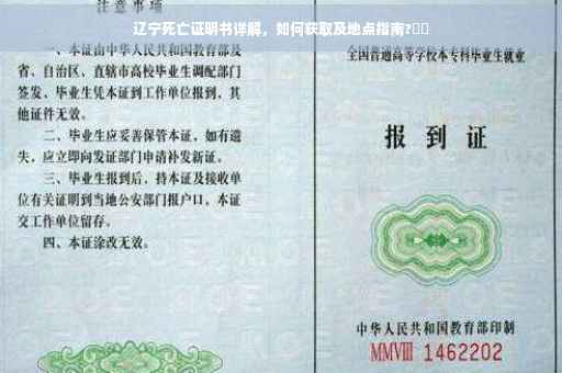 辽宁死亡证明书详解，如何获取及地点指南?⚡️