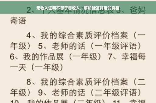 无收入证明不等于零收入，解析标签背后的真相