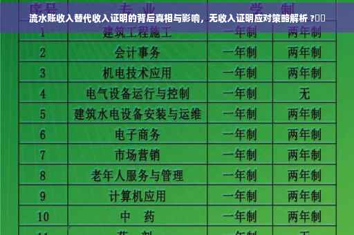 流水账收入替代收入证明的背后真相与影响，无收入证明应对策略解析 ?⚡️
