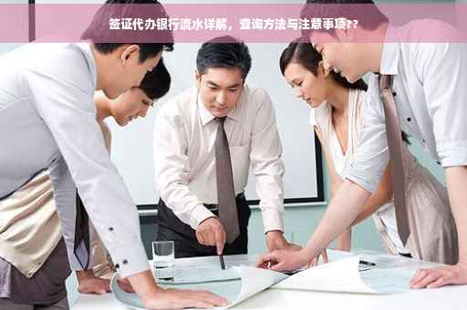 签证代办银行流水详解，查询方法与注意事项??