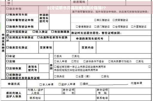 蛀牙证明书开具指南及图片指导??
