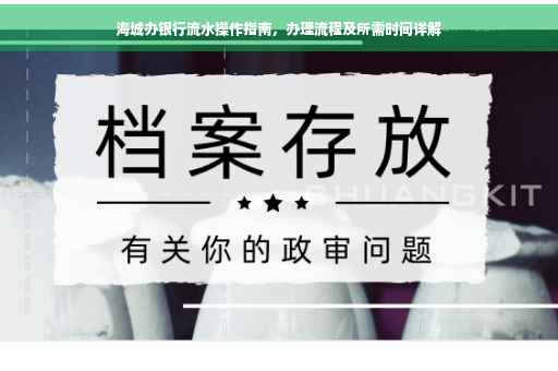 海城办银行流水操作指南，办理流程及所需时间详解